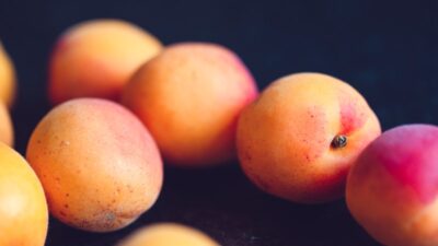 Türkiye'nin kayısı ihracatı yüzde 60