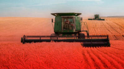 Lorem ipsum gibi yapay metinler