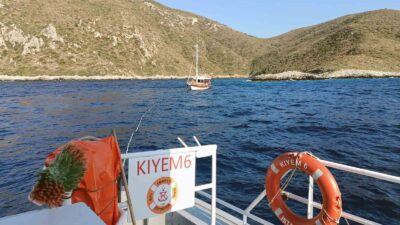 ARIZA YAPAN VE SÜRÜKLENEN 15