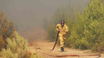 MUĞLA'NIN BODRUM İLÇESİ PINARLIBELEN'DE ÇIKAN