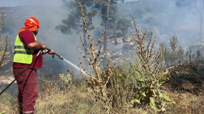 MUĞLA'NIN KAVAKLIDERE İLÇESİNDE ORMAN YANGINI