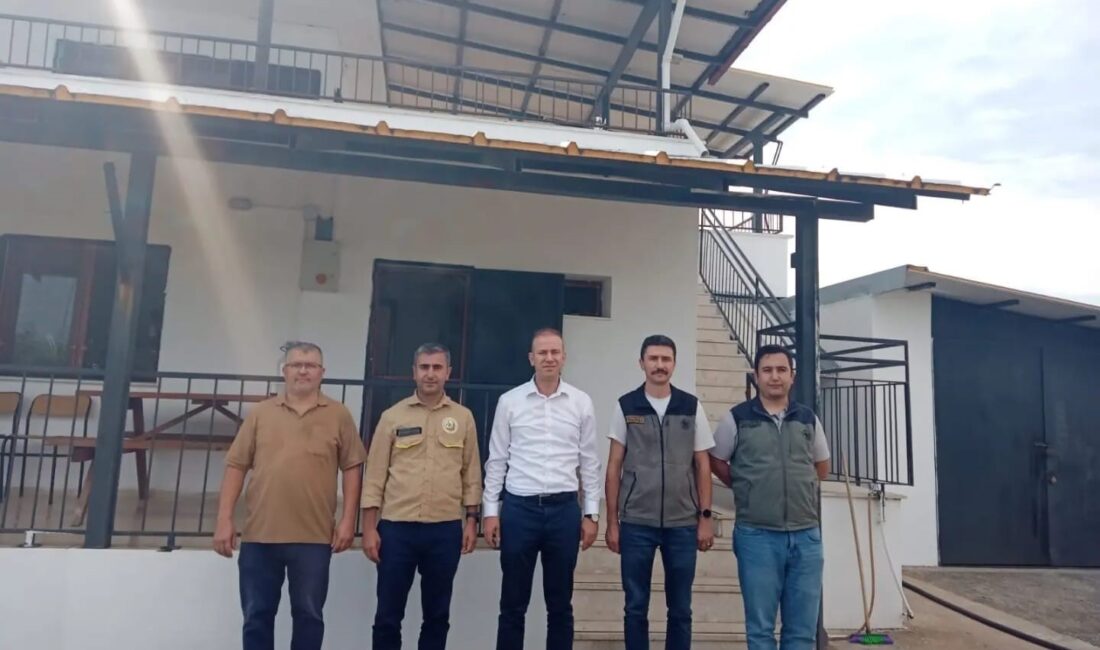 Köyceğiz’de yangınla mücadele çalışmaları yerinde takip ediliyor KÖYCEĞİZ’DE YANGINLA MÜCADELE ÇALIŞMALARI