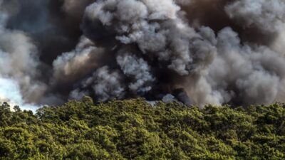 MARMARİS'İN EN BÜYÜK YANGINININ ÜZERİNDEN
