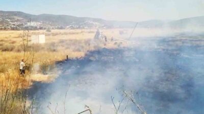 MUĞLA’NIN MİLAS İLÇESİ BOĞAZİÇİ MAHALLESİNDE