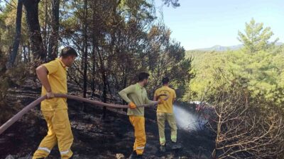 MUĞLA’NIN MİLAS İLÇESİNDE TARIM ARAZİSİNDE