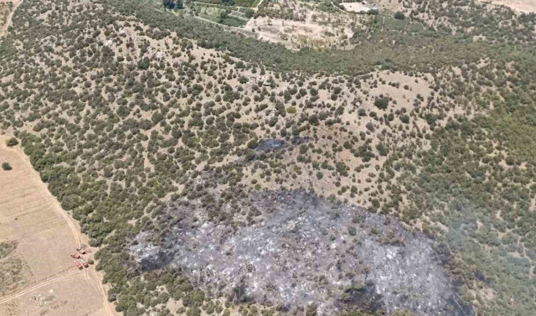 MUĞLA'NIN MİLAS İLÇESİNE BAĞLI