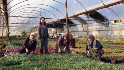 MUĞLA BÜYÜKŞEHİR BELEDİYESİ SOSYAL BELEDİYECİLİK