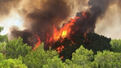 MUĞLA VALİSİ DR. İDRİS AKBIYIK,