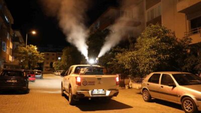 MUĞLA BÜYÜKŞEHİR BELEDİYESİ, İL GENELİNDE