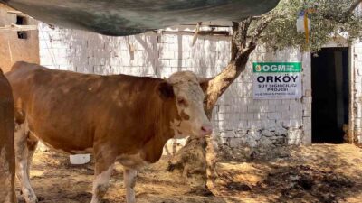 ORMAN VE KÖY İŞLERİ GENEL