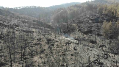 MUĞLA'NIN YATAĞAN İLÇESİNDE ÇIKAN ORMAN