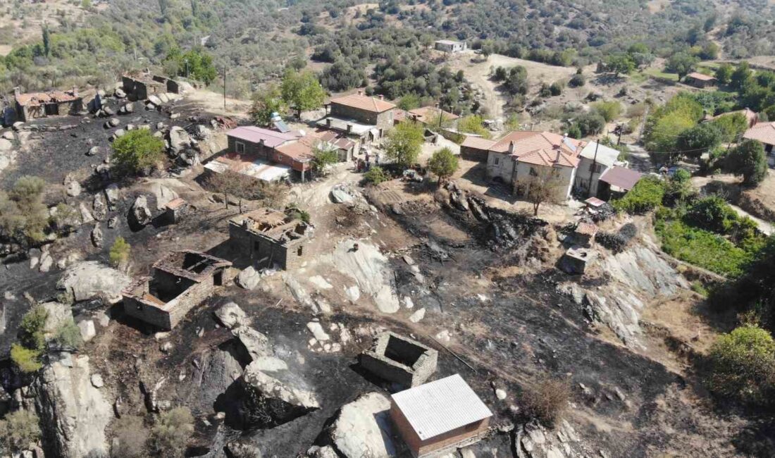 MUĞLA'NIN YATAĞAN İLÇESİNDE ÇIKAN