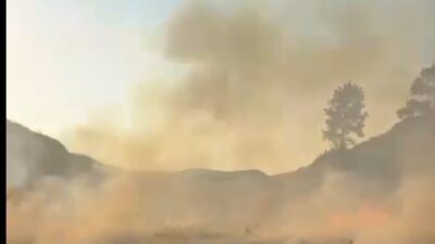 MUĞLA’NIN MARMARİS İLÇESİNDE BAHÇESİNDEKİ OTLARI