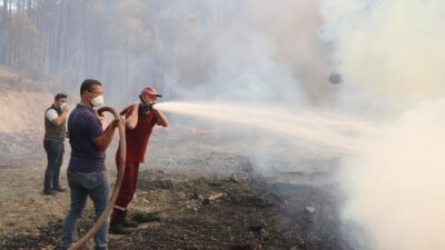 TARIM VE ORMAN BAKANI İBRAHİM