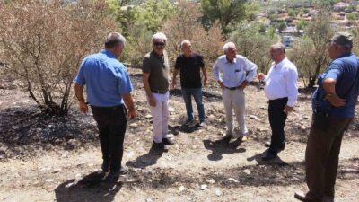 TZOB YÖNETİM KURULU ÜYESİ MEHMET