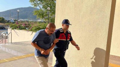 MUĞLA'NIN BODRUM İLÇESİNDE BİR KÖPEK