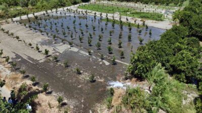 MUĞLA BÜYÜKŞEHİR BELEDİYESİ VERİMLİ TOPRAKLARI