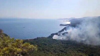 MUĞLA'NIN DATÇA İLÇESİNDEKİ ORMAN YANGININI