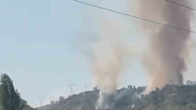 MUĞLA’NIN KÖYCEĞİZ İLÇESİ BEYOBASI MEVKİİNDE