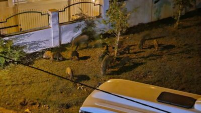 MUĞLA'NIN MARMARİS İLÇESİNDE AKŞAM SAATLERİNDE