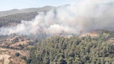 MUĞLA MİLAS İLÇESİNDE BAŞLAYAN ORMAN