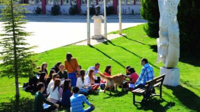 MSKÜ, 2024 YKS SONUÇLARINA GÖRE