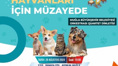 MUĞLA SOKAK HAYVANLARI İÇİN ÖNEMLİ