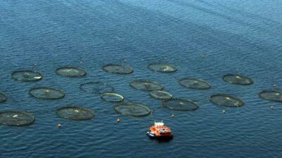 MUĞLA, TEMMUZ’DA 91 MİLYON DOLARLIK