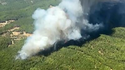 MUĞLA'DA ÇIKAN EŞ ZAMANLI ORMAN