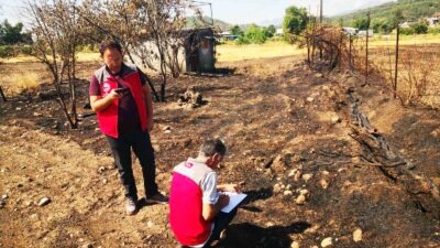 MUĞLALI TARIMSAL ÜRETİCİLERE 6 AYDA