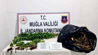 SEYDİKEMER'DE UYUŞTURUCU MADDE VE KENEVİR