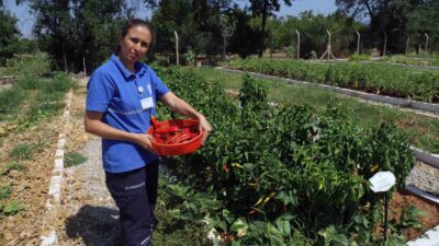 TÜRKİYE’NİN 81 İLİNE BUGÜNE KADAR