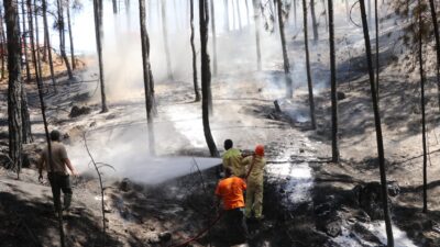 MUĞLA'NIN ULA İLÇESİNDEKİ ORMAN YANGINI
