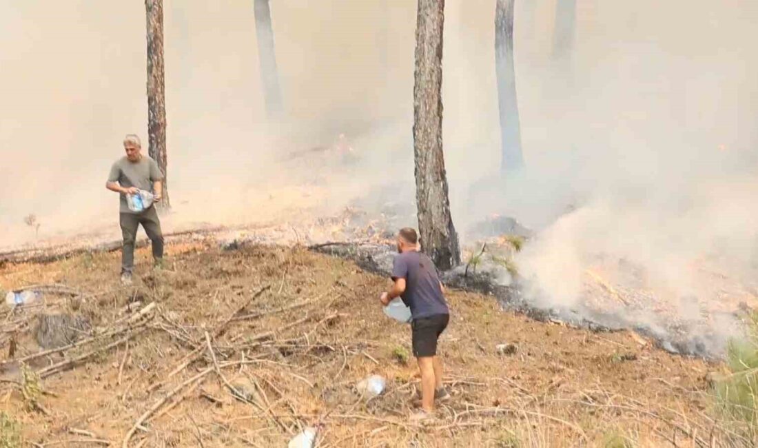 MUĞLA'NIN ULA İLÇESİNDE ÇIKAN