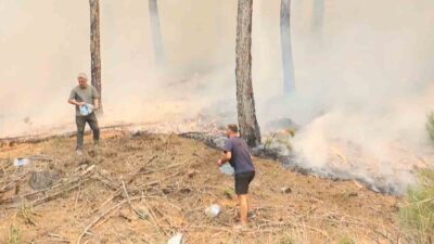 MUĞLA'NIN ULA İLÇESİNDE ÇIKAN ORMAN