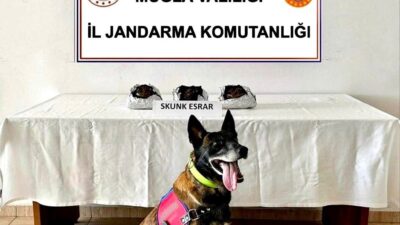 MUĞLA’NIN BODRUM İLÇESİNDE JANDARMA EKİPLERİNCE