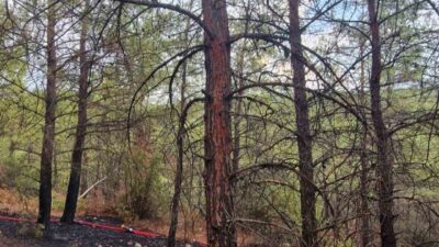 MUĞLA BÖLGESİNDE AKŞAM SAATLERİNDE YATAĞAN