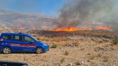 MUĞLA’NIN BODRUM İLÇESİNDE OTLUK ALANDA