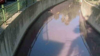 MARMARİS’TEKİ DERE MOR RENGE DÖNÜŞTÜ,