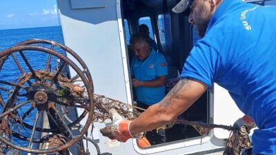 MUĞLA TARIM VE ORMAN İL