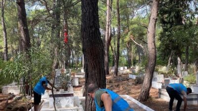 MUĞLA (İHA) - MUĞLA'NIN KÖYCEĞİZ