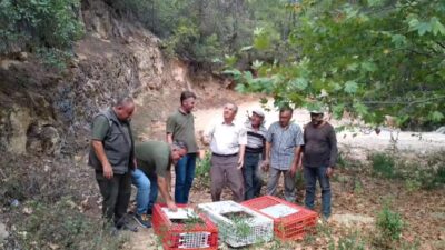 MUĞLA DOĞA KORUMA VE MİLLİ