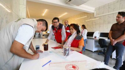 TÜRKİYE VE DÜNYADA ÇAM BALI