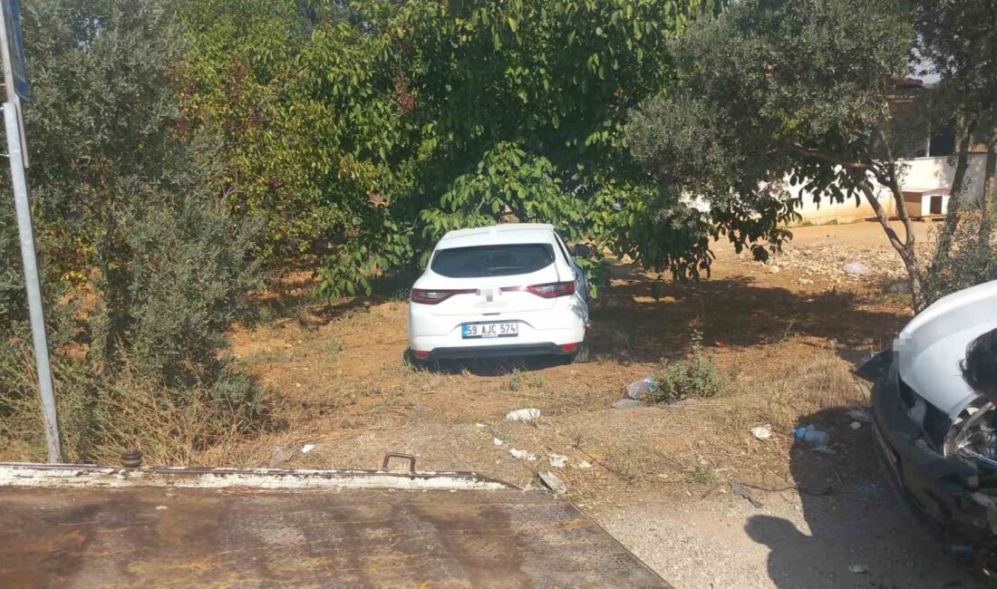 MUĞLA'NIN MENTEŞE İLÇESİNDE İKİ