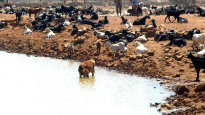 KÖYÜN HEMEN ALT KISMINDA YER