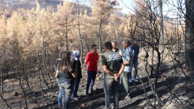 MUĞLA ORMAN BÖLGE MÜDÜRÜ MUSTAFA