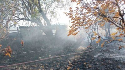 MENTEŞE’DE BAHÇEDE ÇIKAN YANGIN SÖNDÜRÜLDÜ