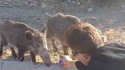 MUĞLA'NIN BODRUM İLÇESİNDE İKİ ARKADAŞ,