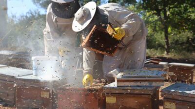 4 YILDIR YANGINLAR, İKLİM DEĞİŞİKLİĞİ