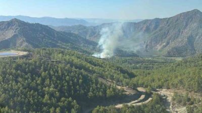 DALAMAN’DA ORMAN YANGINI KONTROL ALTINA